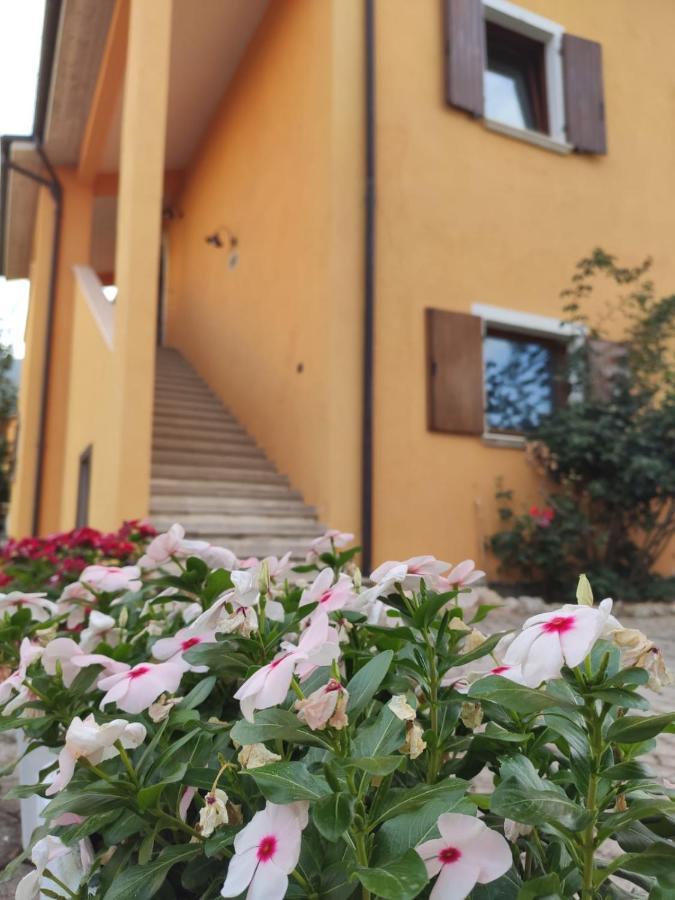 B&B Al Solito Posto 拉奎拉 外观 照片